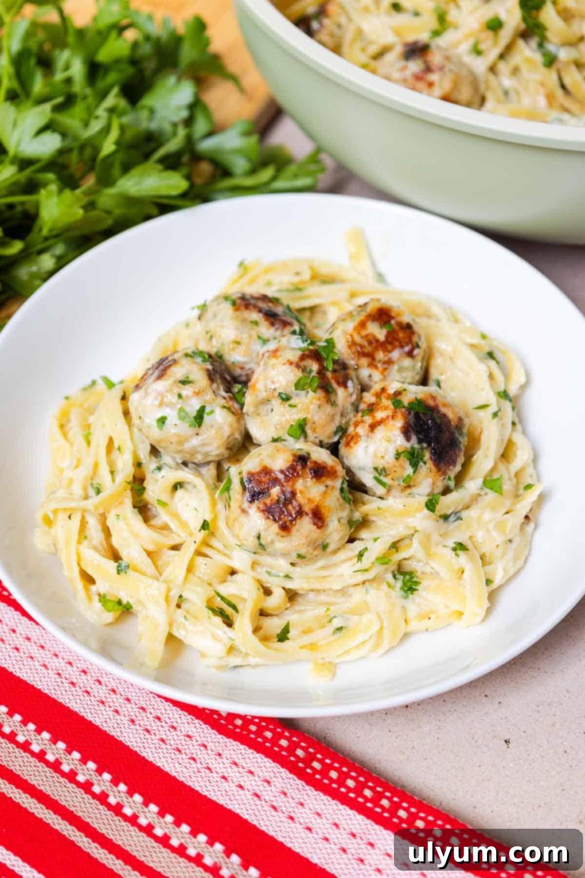 Fettuccine Alfredo with Chicken Meatballs 2 Fettuccine Alfredo with Chicken Meatballs.