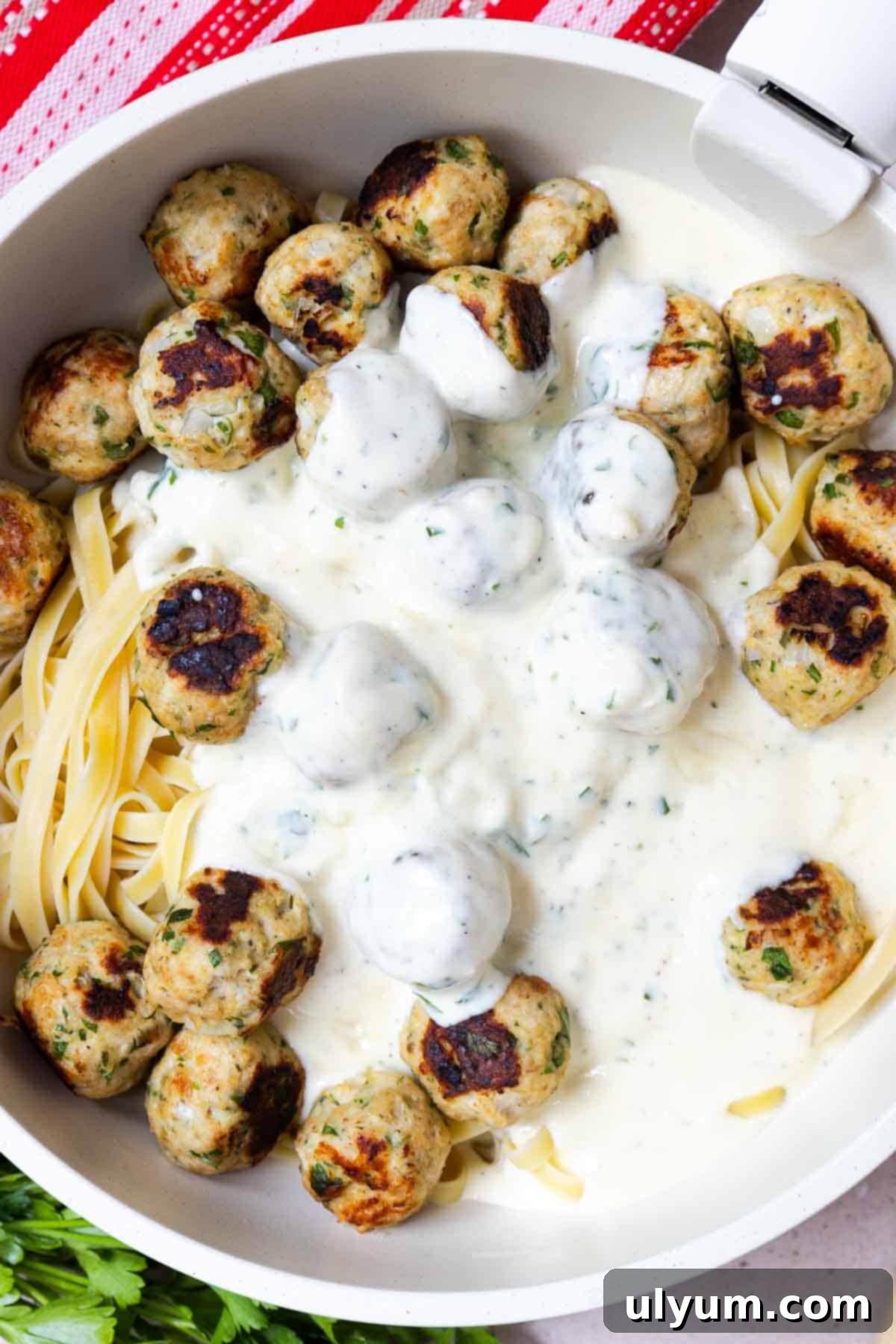 Fettuccine Alfredo with Chicken Meatballs 12 Cooked fettuccine noodles and cooked chicken meatballs covered in Alfredo sauce in a large skillet.