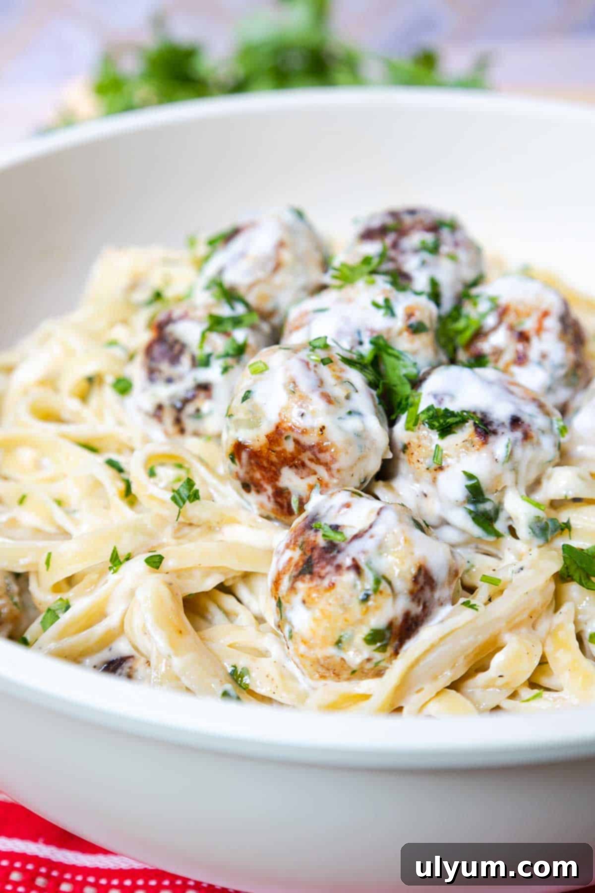 Fettuccine Alfredo with Chicken Meatballs 13 Chicken Meatballs coated in Alfredo sauce in a large skillet.