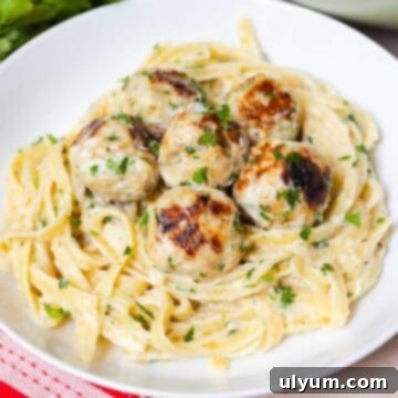 Fettuccine Alfredo with Chicken Meatballs 14 Chicken meatballs with fettuccine Alfredo.