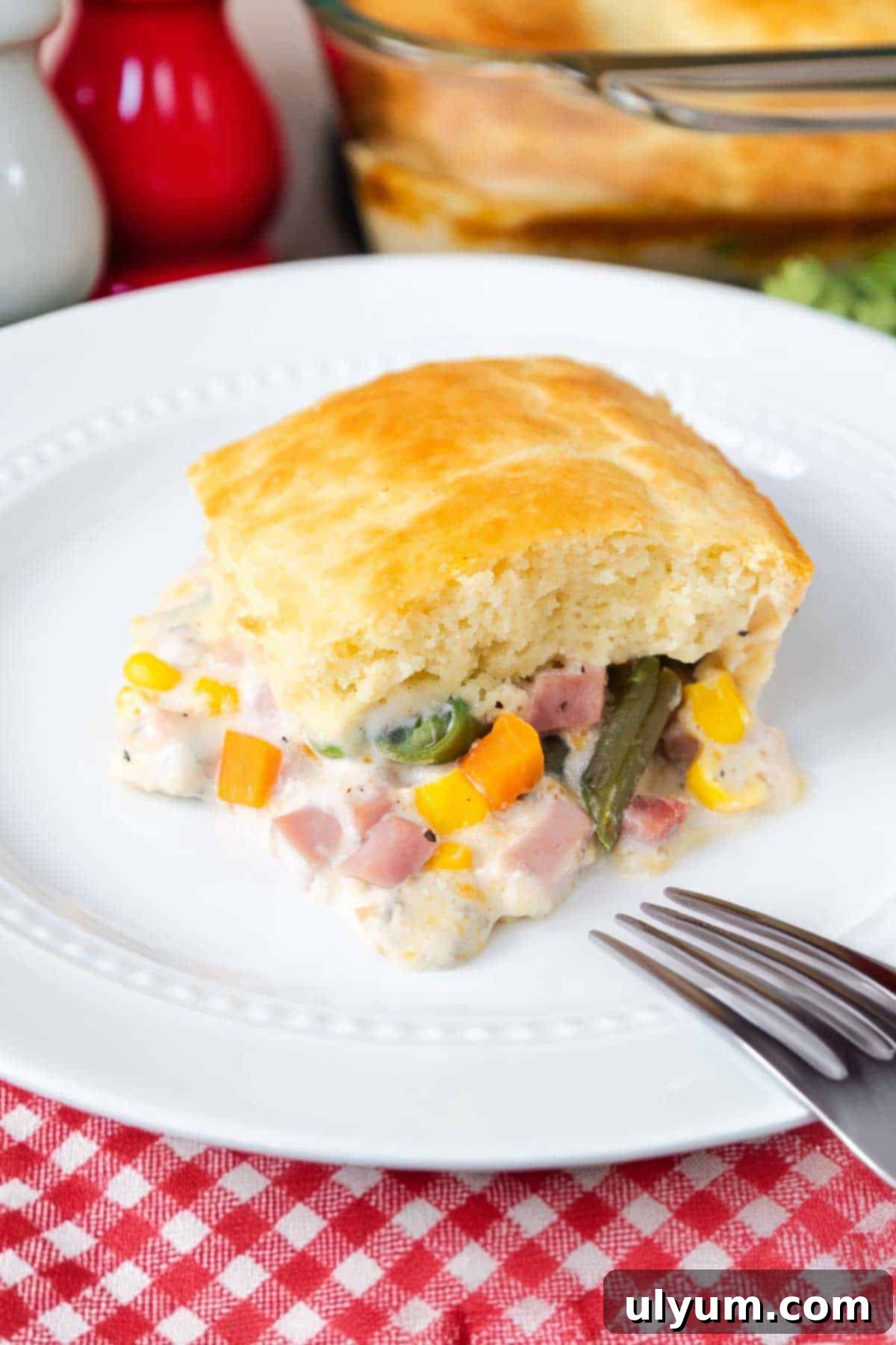 Ham and vegetable casserole with a layer of bisquick on top.