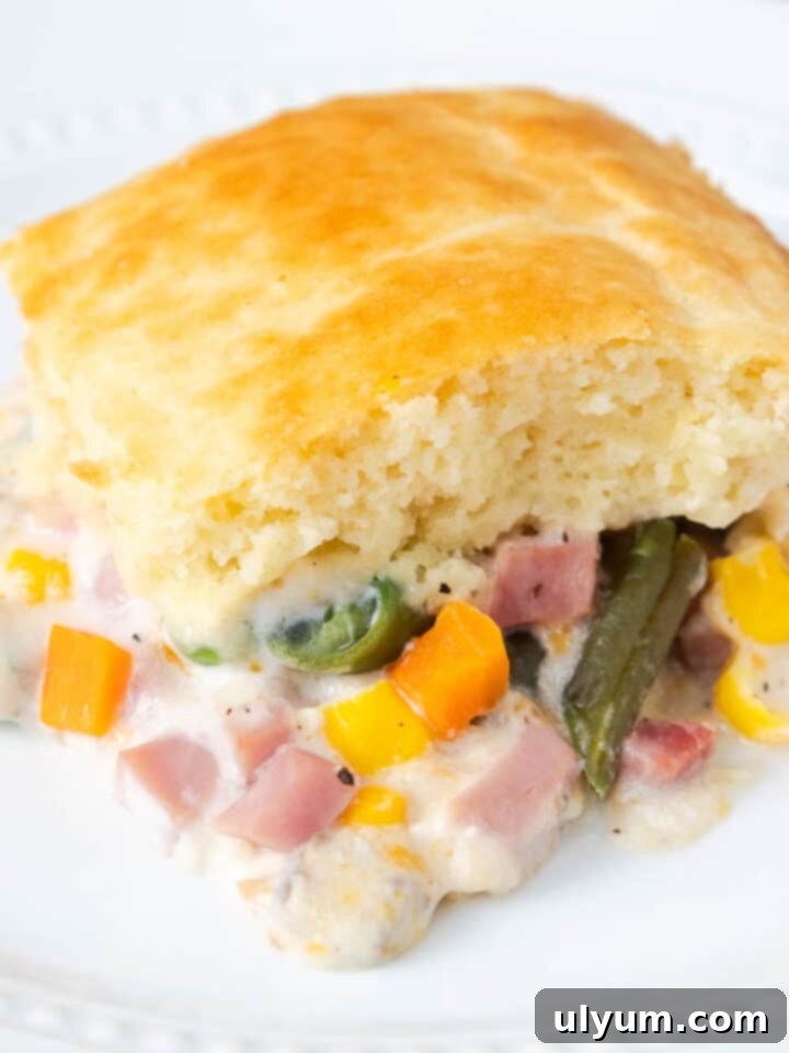 Ham and Vegetable Casserole with a Bisquick Layer on Top