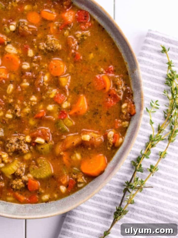 Classic Hamburger Soup with vegetables.