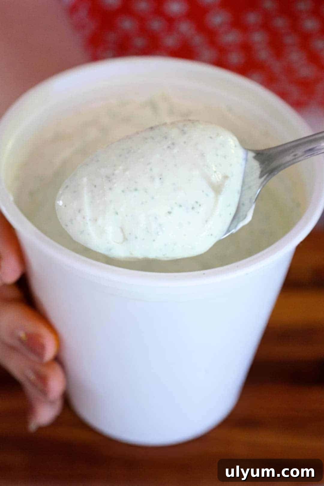 A close-up shot of a spoon scooping a generous dollop of thick, ultra-creamy, and perfectly blended cottage cheese ranch dip, highlighting its smooth texture and readiness for serving.