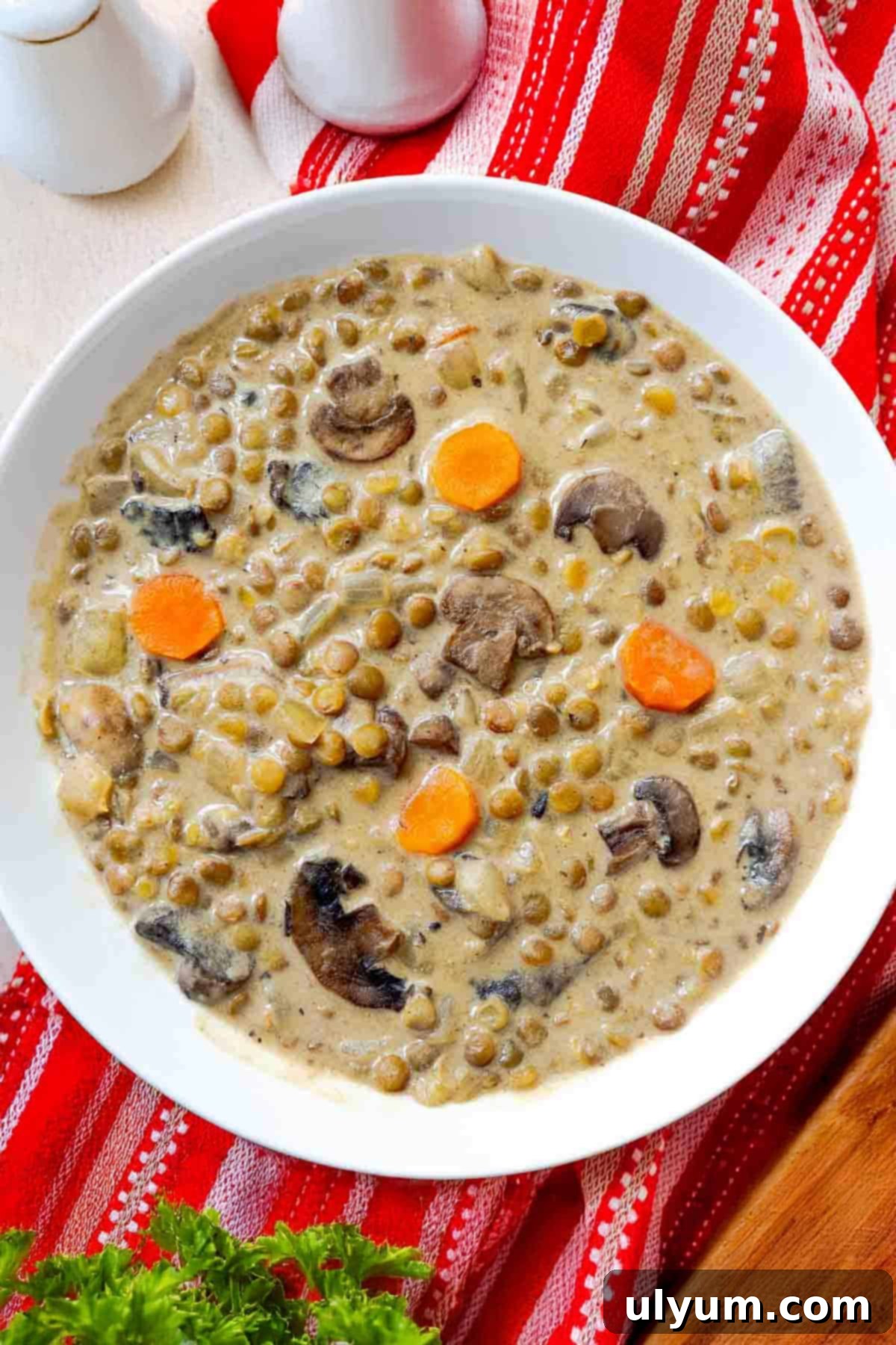Bowl of creamy mushroom and lentil soup with carrots and onions, garnished with fresh herbs.