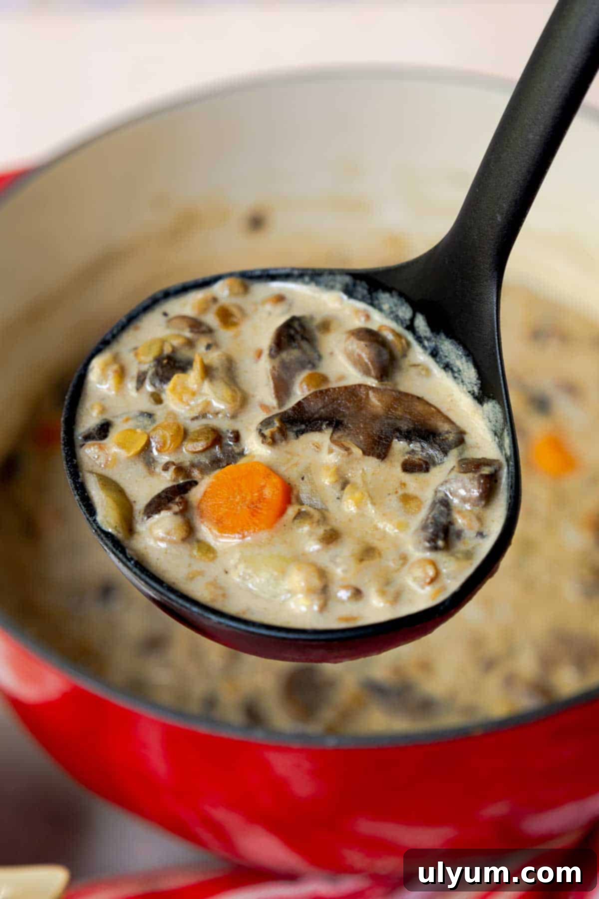 A ladle lifting a generous portion of creamy mushroom and lentil soup, showcasing its rich texture and wholesome ingredients.