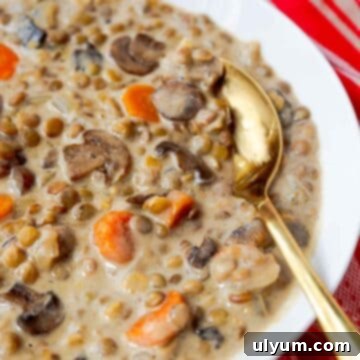 Bowl of creamy mushroom and lentil soup with carrots and onions.