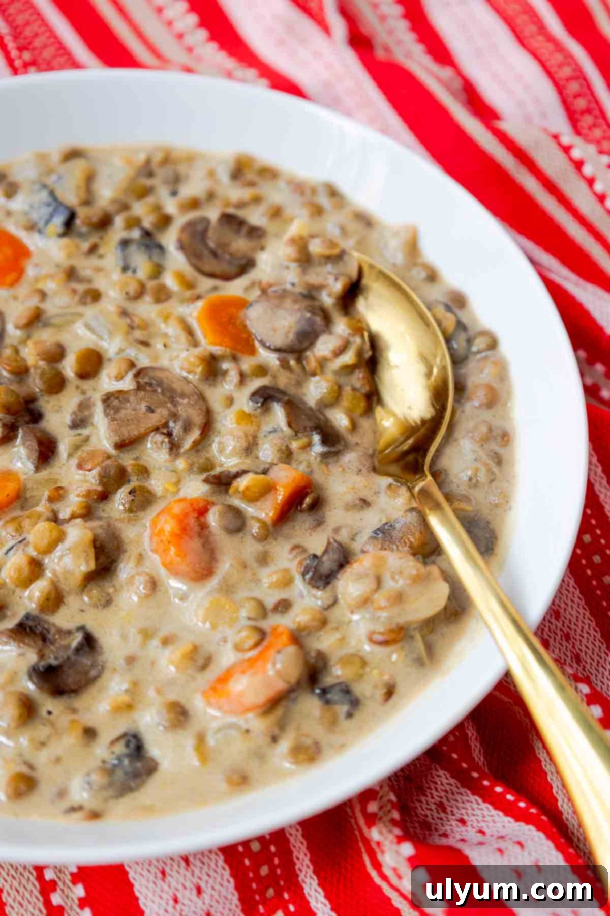 Close-up of a bowl of creamy mushroom and lentil soup, showing its rich texture and vibrant vegetables.
