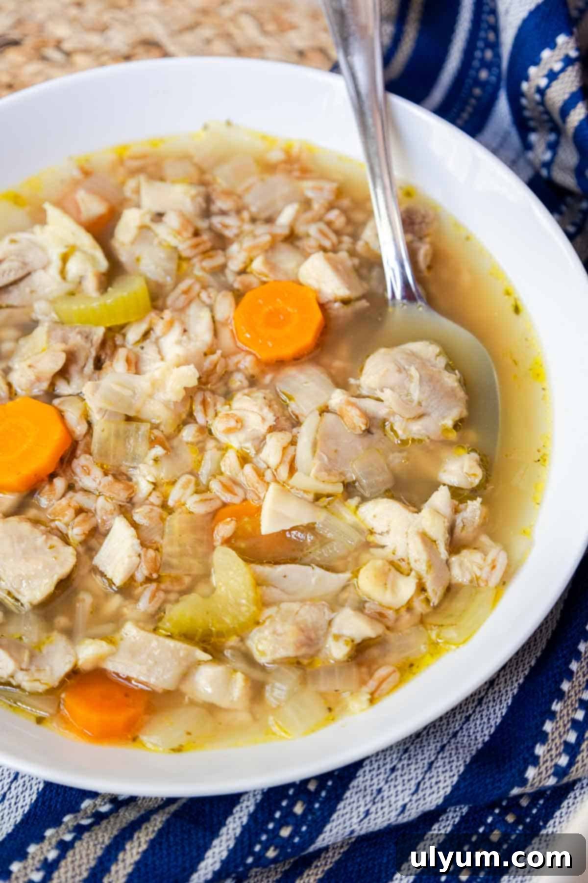 Chicken soup with farro, carrots, onion, and celery in a white bowl.
