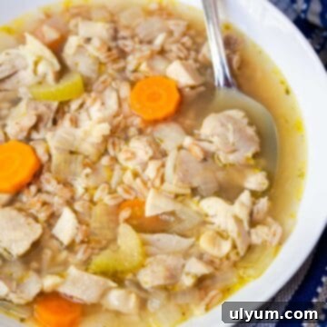 Chicken soup with farro, carrots, onion, and celery in a white bowl.
