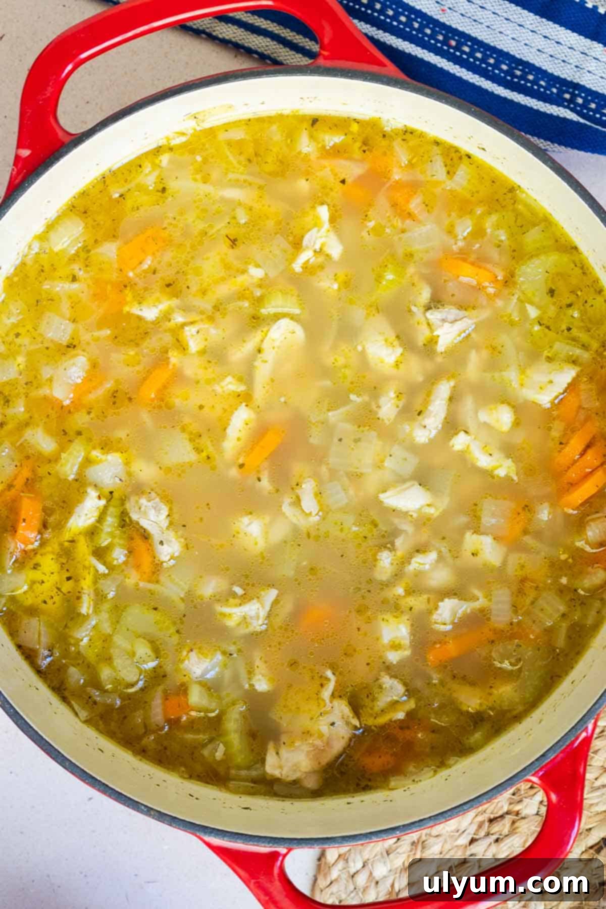 Chicken soup with farro, carrots, onion, and celery in a large pot.