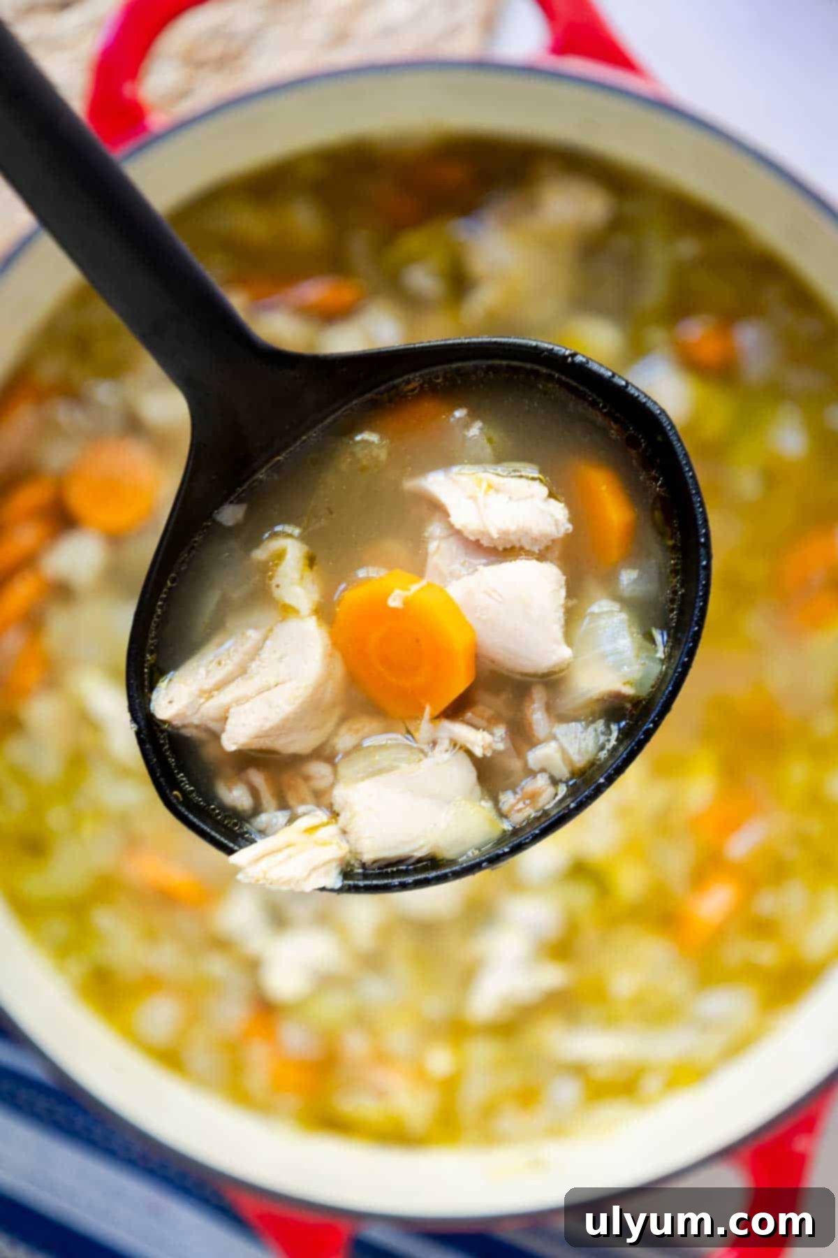 Chicken soup with farro in a ladle.