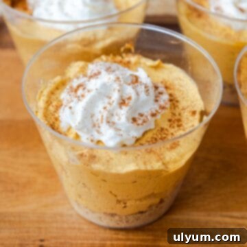 A small clear plastic cup filled with a graham cracker layer, a layer of pumpkin pie filling, and topped with whipped cream and a dash of cinnamon.