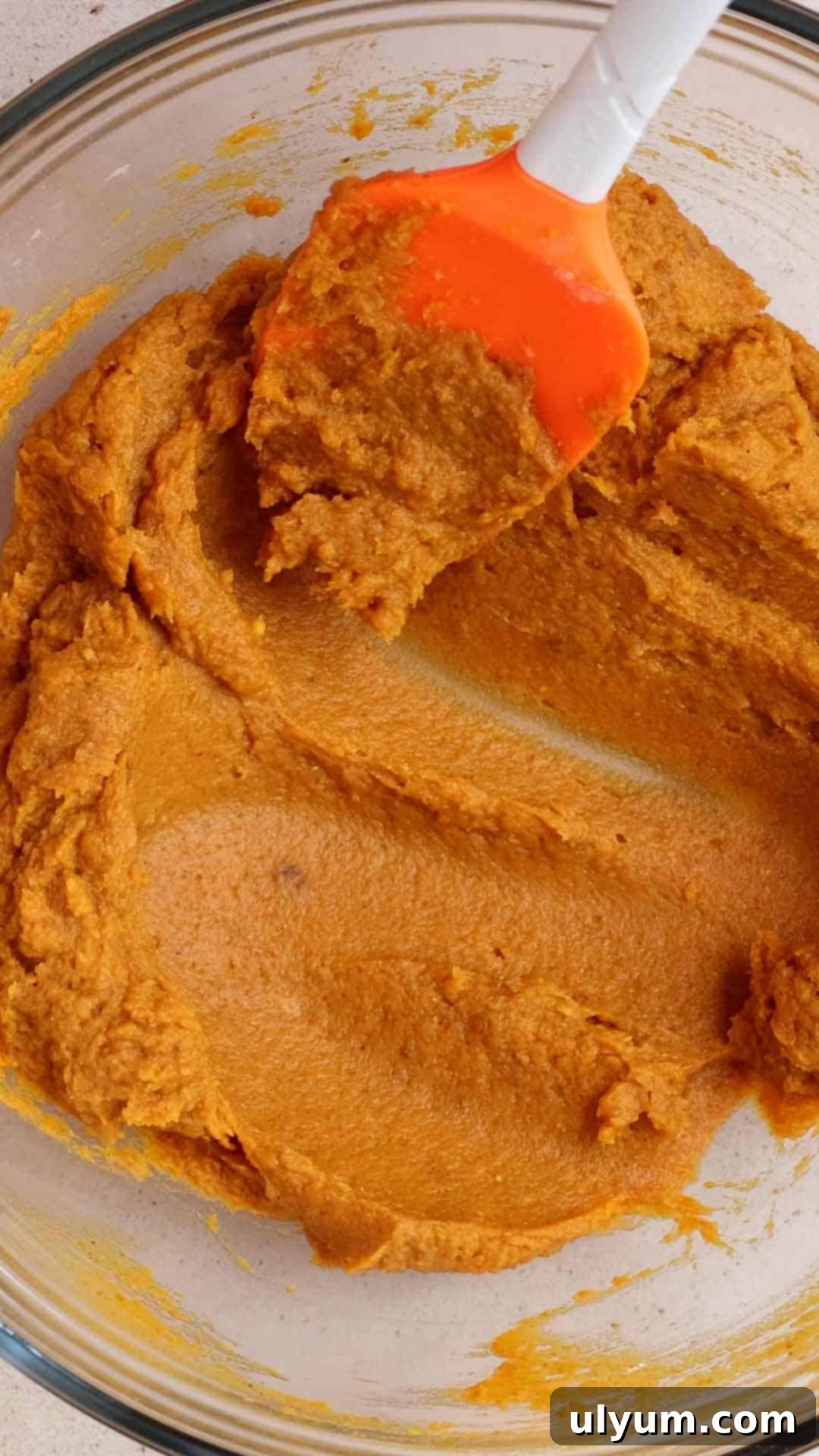 Pumpkin purée, milk, instant vanilla pudding mix, and pumpkin pie spice combined in a mixing bowl until smooth.