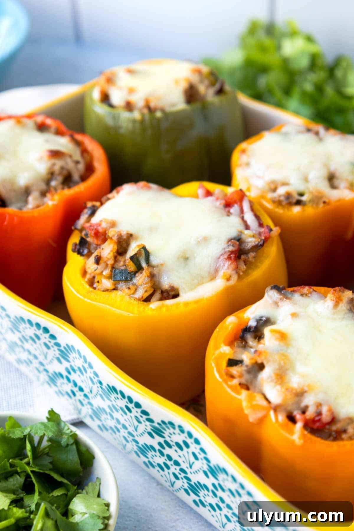 Hearty Ground Turkey and Rice Stuffed Peppers 2 Baking dish with six multicolored stuffed bell peppers topped with melted mozzarella cheese, ready to serve.
