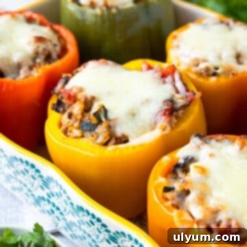 Hearty Ground Turkey and Rice Stuffed Peppers 15 Baking dish with six whole stuffed bell peppers topped with melted mozzarella cheese.