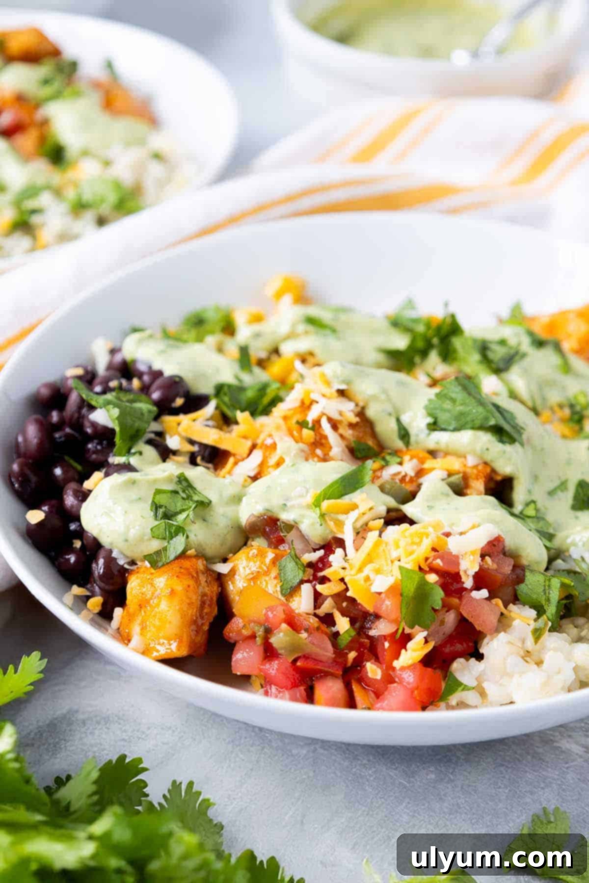Southwest chicken rice bowls with pico de gallo, cilantro lime rice, black beans, corn, cheese, and avocado dressing