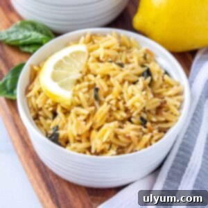 Ramekin filled with lemon parmesan orzo topped with a half lemon slice. There is fresh basil and lemon in the background.
