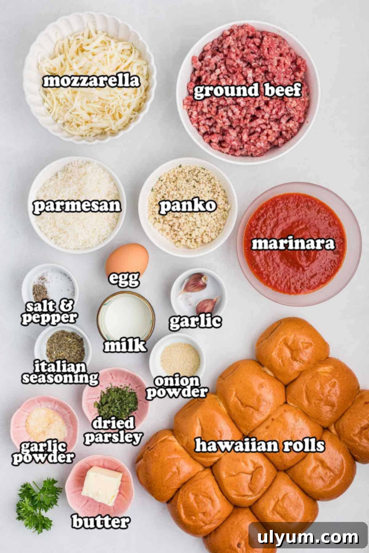 Ingredients arranged on a surface with labels. Text on the image says 'mozzarella, ground beef, parmesan, panko, marinara, salt & pepper, egg, garlic, milk, onion powder, italian seasoning, dried parsley, garlic powder, butter, hawaiian rolls'.