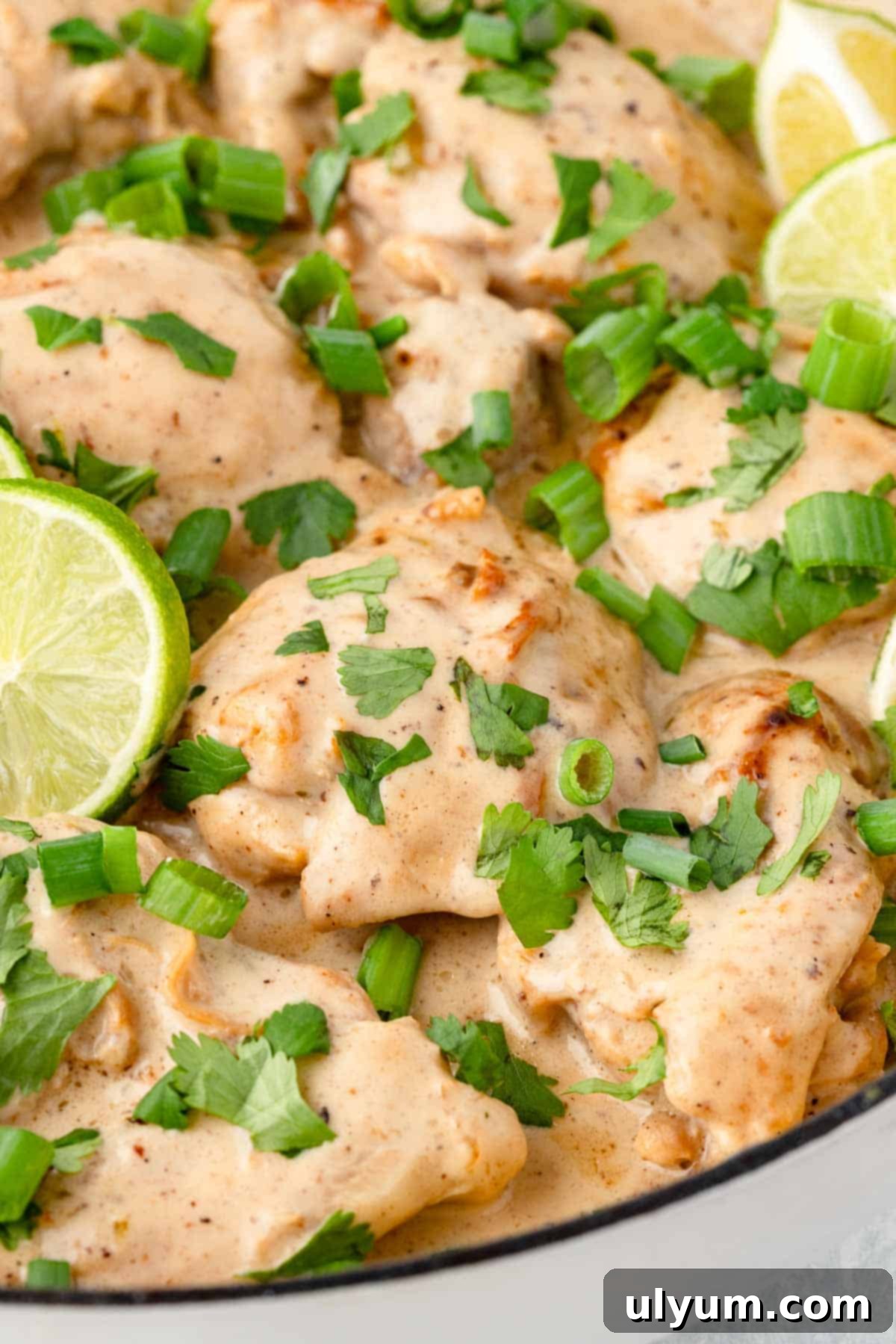 Easy One Pan Coconut Lime Chicken 2 Chicken thighs covered in creamy coconut sauce topped with chopped cilantro and lime slices.