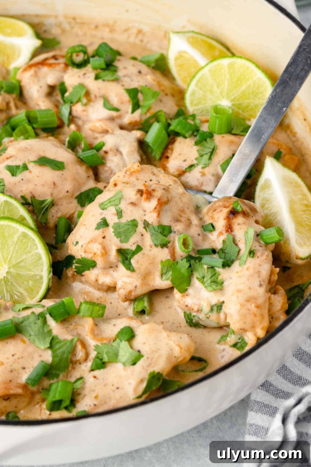 Easy One Pan Coconut Lime Chicken 11 Chicken thighs in sauce with a spoon, garnished with green onions, cilantro, and lime wedges.