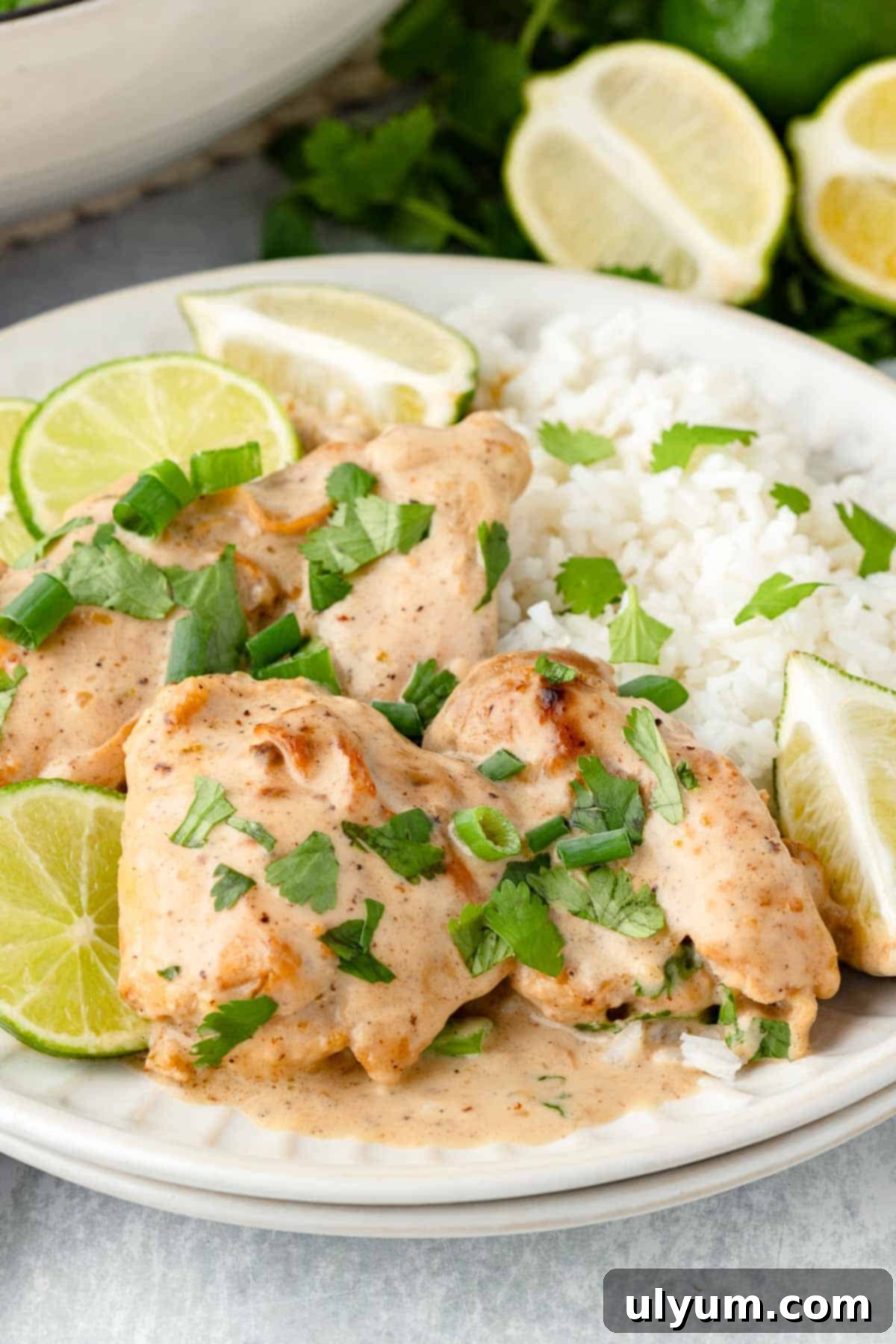 Easy One Pan Coconut Lime Chicken 12 Chicken thighs in sauce on a plate with white rice, garnished with lime slices, cilantro, and green onions.