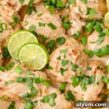 Easy One Pan Coconut Lime Chicken 14 Close-up of chicken thighs in creamy sauce topped with green onions, cilantro, and lime slices.