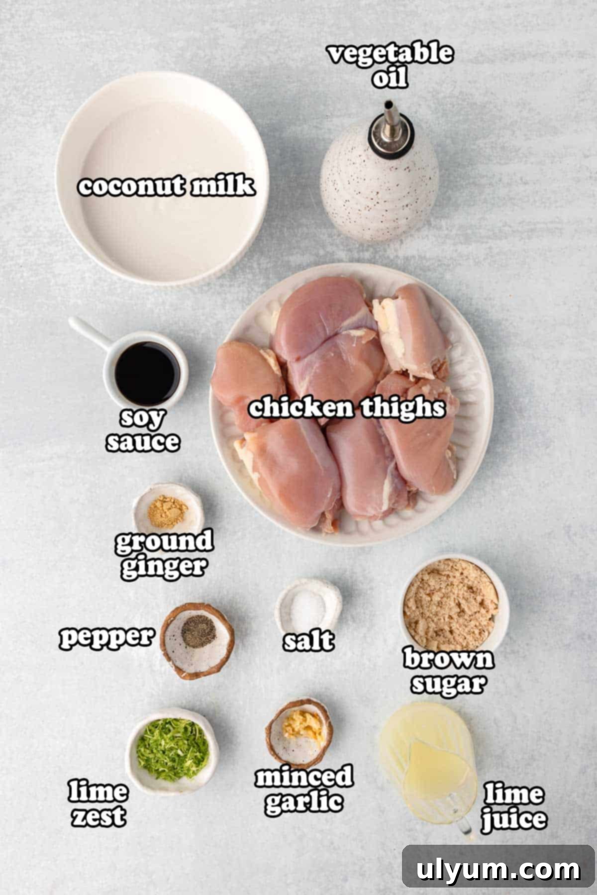 Easy One Pan Coconut Lime Chicken 3 Ingredients laid out on a surface including chicken thighs, coconut milk, soy sauce, brown sugar, lime, and seasonings. Text on the image says 'coconut milk', 'vegetable oil', 'soy sauce', 'chicken thighs', 'ground ginger', 'pepper', 'salt', 'brown sugar', 'lime zest', 'minced garlic', 'lime juice'.