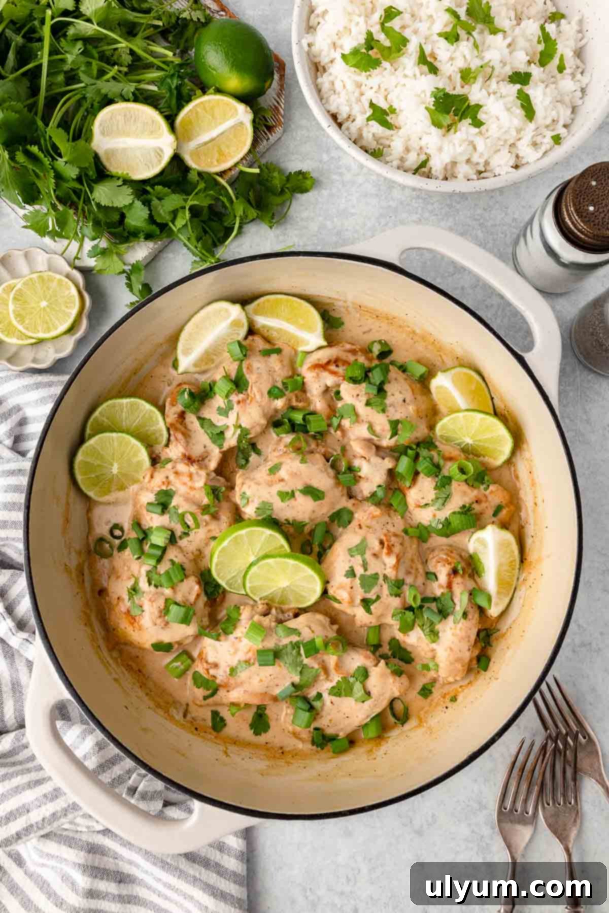 Easy One Pan Coconut Lime Chicken 10 Chicken thighs in creamy sauce in a pan, topped with green onions, cilantro, and lime slices.