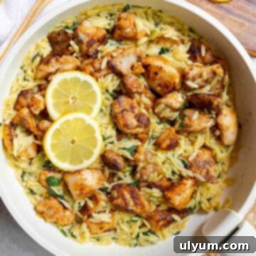 Bright Lemon Chicken Orzo Skillet 13 Lemon chicken orzo with diced chicken thighs and baby spinach in a large skillet.