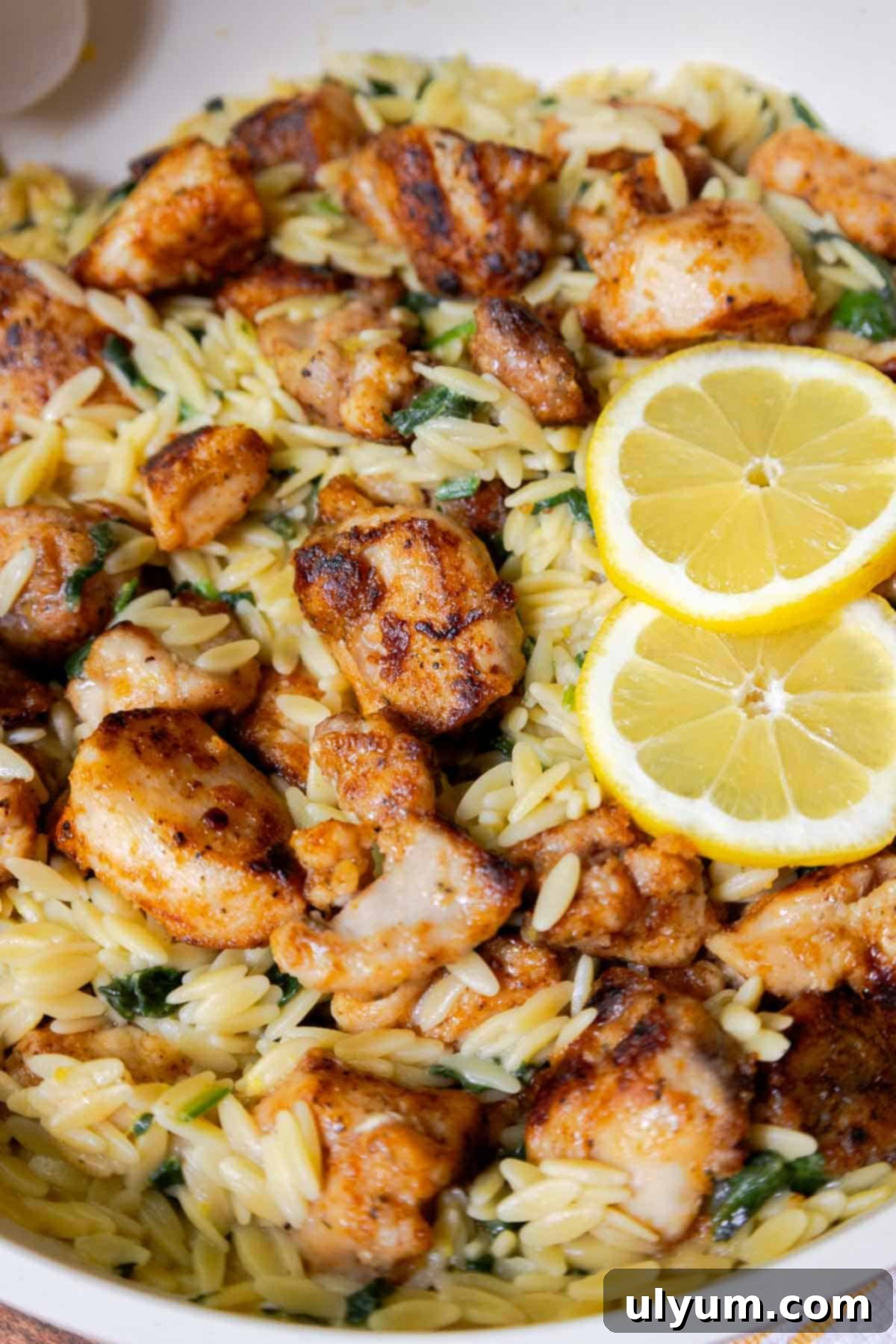 Bright Lemon Chicken Orzo Skillet 9 Lemon chicken orzo garnished with lemon slice.