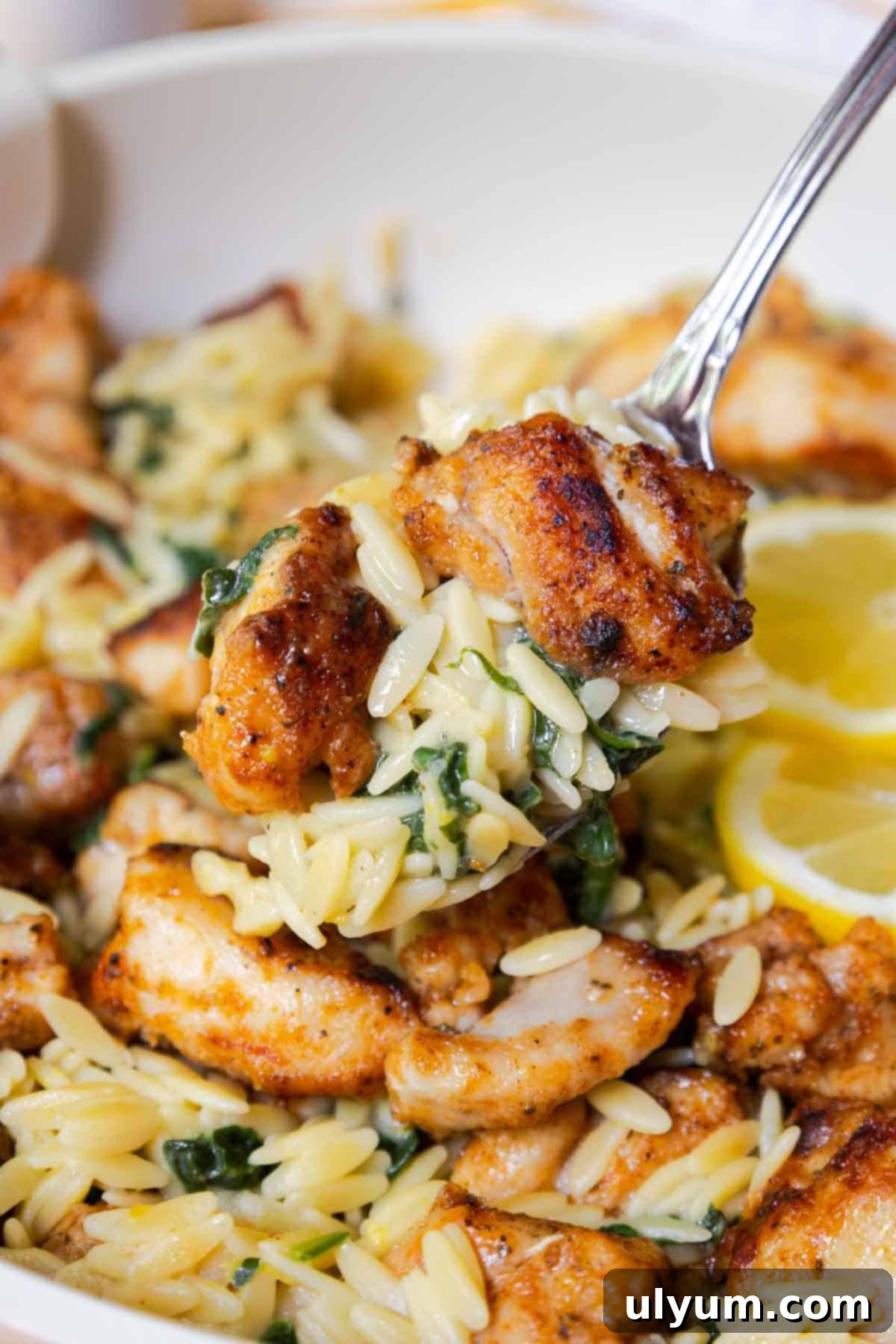 Bright Lemon Chicken Orzo Skillet 10 Spoonful of lemon chicken orzo.