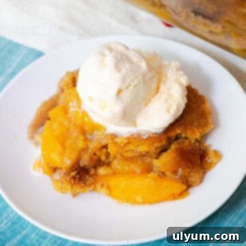 A plate of peach cobbler with vanilla ice cream on top.
