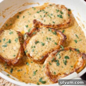 Four boneless pork chops in a skillet covered with creamy garlic sauce and fresh parsley.