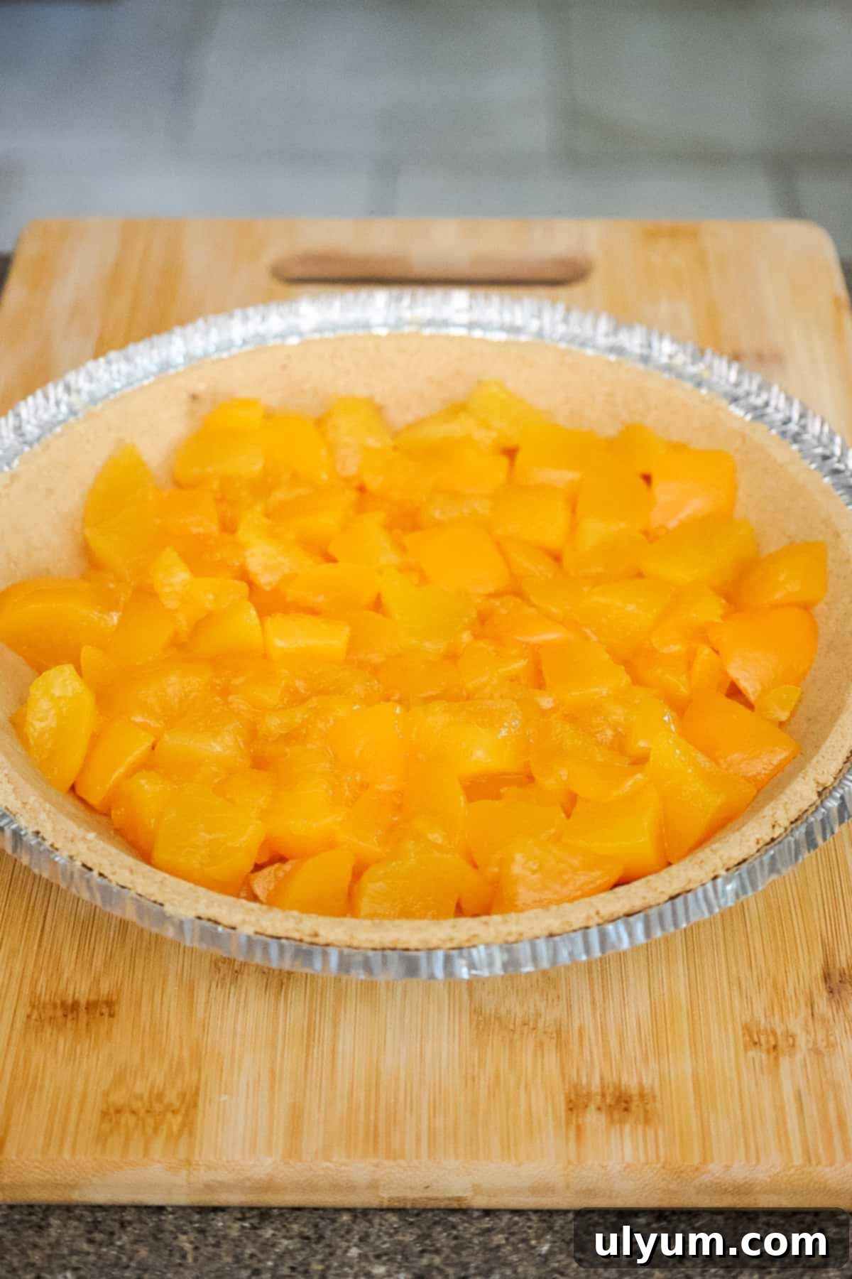 A graham cracker crust filled with drained and dried canned peach chunks, ready for the gelatin mixture.