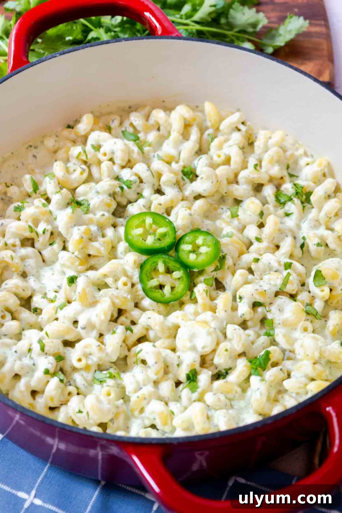 Spicy Creamy Jalapeño Ranch Pasta 2 Cooked pasta in a creamy sauce, topped with sliced jalapeños and herbs.