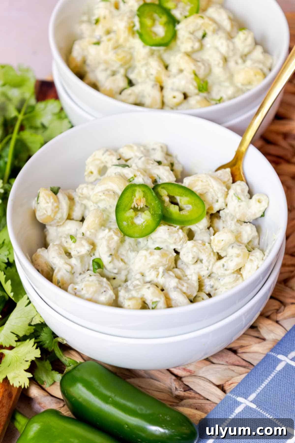 Spicy Creamy Jalapeño Ranch Pasta 12 Bowl of creamy jalapeño cellentani pasta.