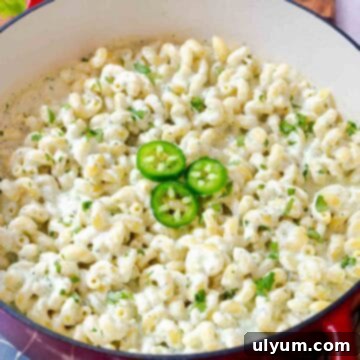 Spicy Creamy Jalapeño Ranch Pasta 15 Creamy jalapeño ranch pasta topped with sliced jalapeños and cilantro in a large pot.