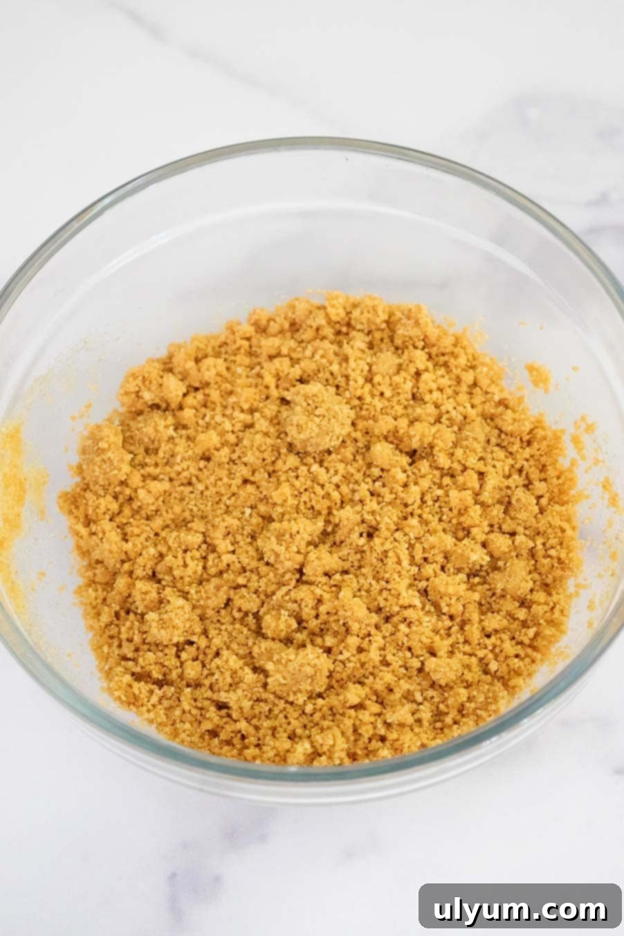 Thick, crumbly mixture of crushed graham cracker and melted butter in a glass bowl.