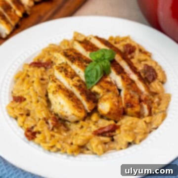 Plate of marry me chicken orzo with sun-dried tomatoes and sliced chicken breast.