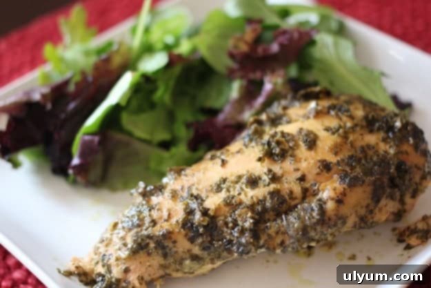 Easy Slow Cooker Pesto Ranch Chicken Breasts 2 Pesto Ranch Chicken with a side salad, perfectly cooked and ready to serve.