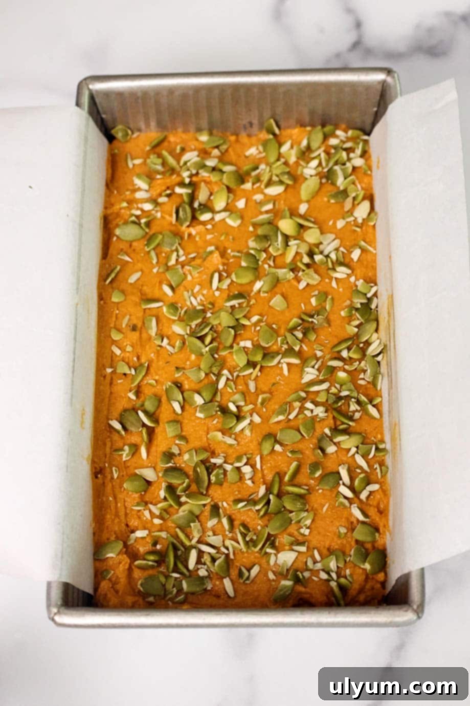 Pumpkin Spice Cake Loaf 7 Unbaked pumpkin bread batter topped with a generous layer of pepitas, evenly spread in a parchment-lined loaf pan.