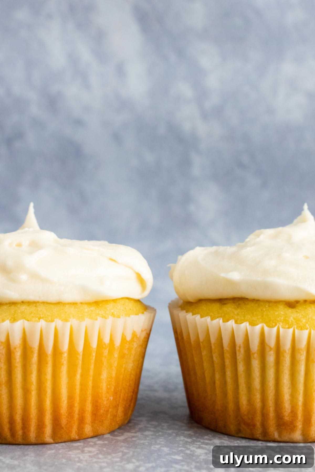 Velvet American Buttercream 2 Cupcakes with elegant swirls of American buttercream frosting