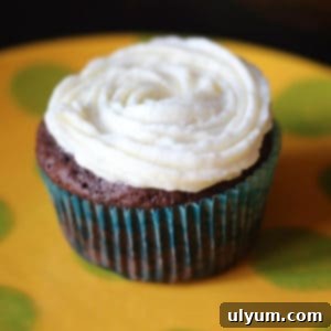 Velvet American Buttercream 4 A chocolate cupcake topped with homemade buttercream frosting.