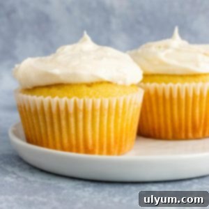 Two vanilla cupcakes topped with perfectly creamy homemade buttercream frosting.