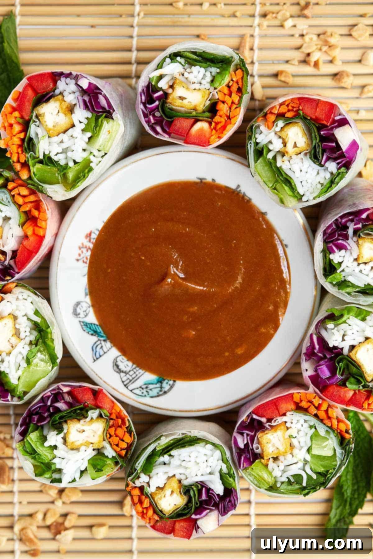 Effortless Five Ingredient Peanut Sauce 2 5-Ingredient Peanut Sauce with Vietnamese spring rolls, showing fresh spring rolls artfully arranged and drizzled with the creamy peanut sauce.