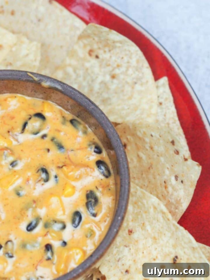 Score Big: 48 Instant Pot & Slow Cooker Game Day Eats 10 Instant Pot BBQ Queso Dip, featuring pulled pork for extra flavor.