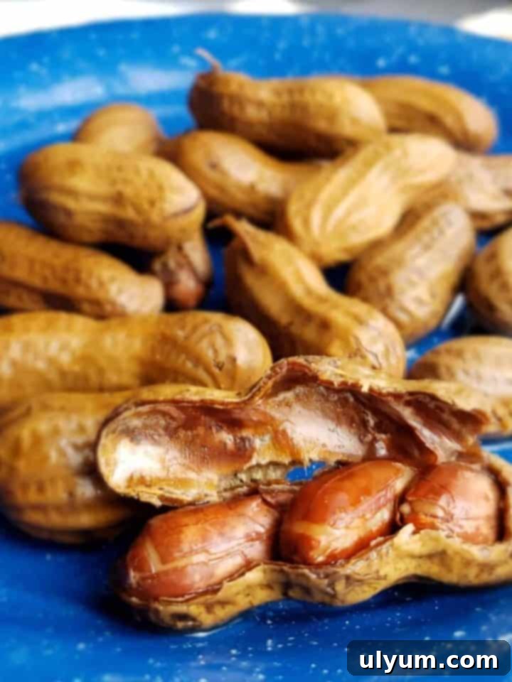 Score Big: 48 Instant Pot & Slow Cooker Game Day Eats 24 Instant Pot Boiled Peanuts, a classic Southern snack.