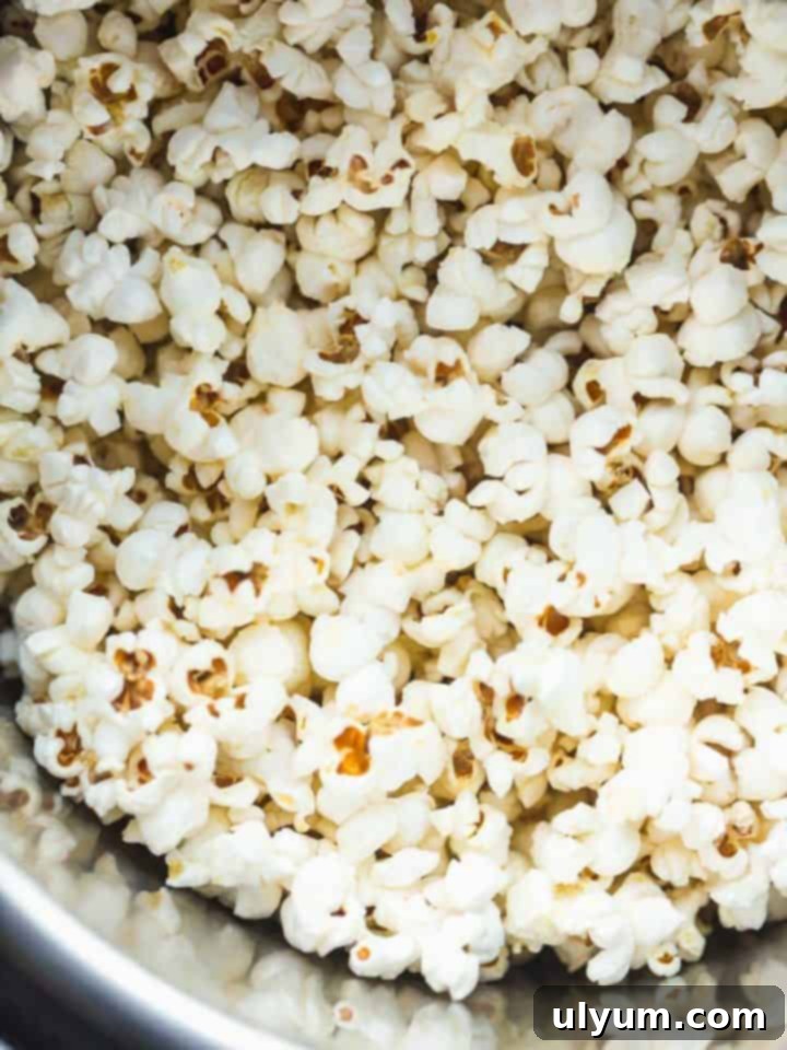 Score Big: 48 Instant Pot & Slow Cooker Game Day Eats 26 Instant Pot Popcorn, a healthy and affordable snack.