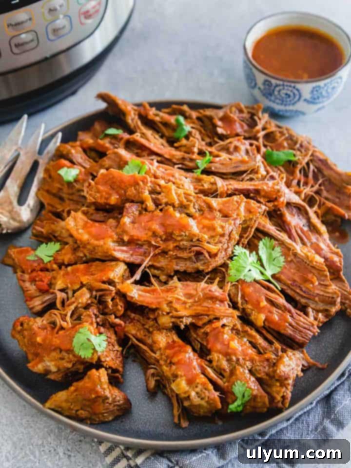 Score Big: 48 Instant Pot & Slow Cooker Game Day Eats 40 Instant Pot Beef Brisket, tender and juicy BBQ style.